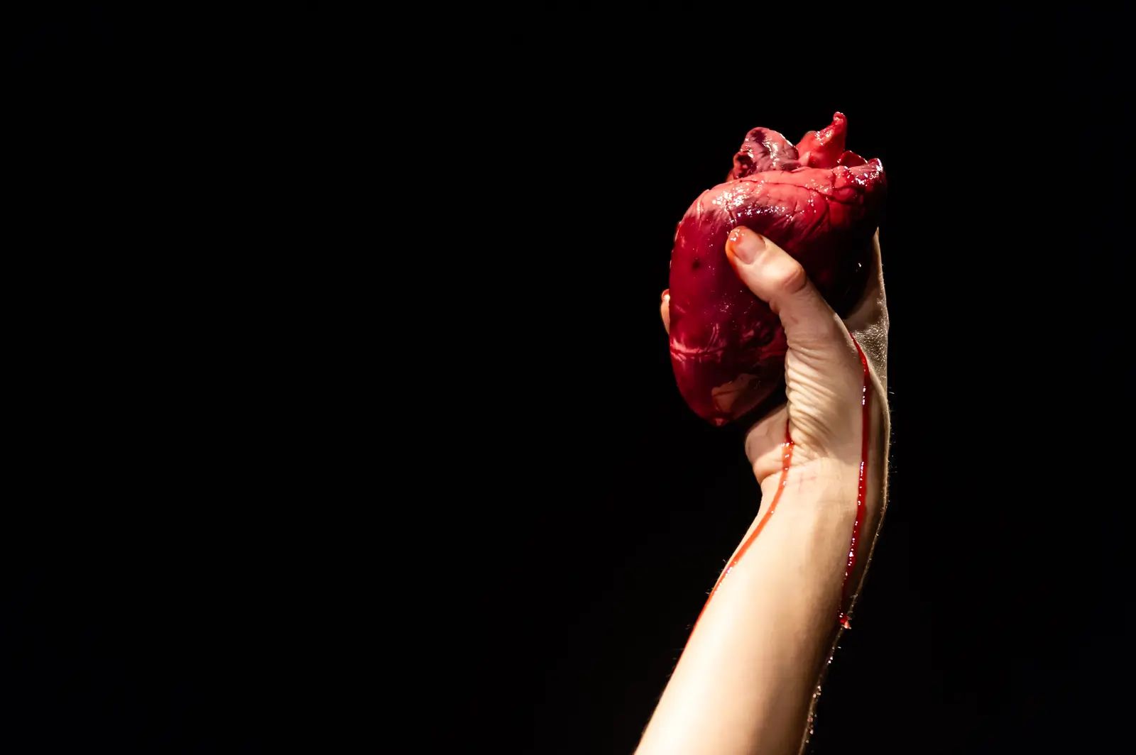 The Heart